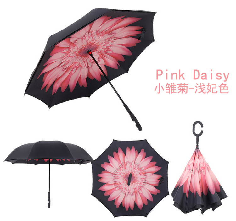 Pink Daisy Umbrella，anti-uv C-handle Sun Rain Opposite Folding Upside Down Reverse Inverted Umbrella，reverse Double Umbrella, Peacock Sun
